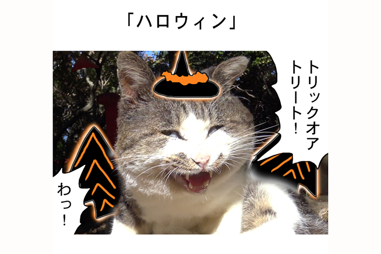 連載マンガ「田代島便り 出張版」 第18回「ハロウィン」