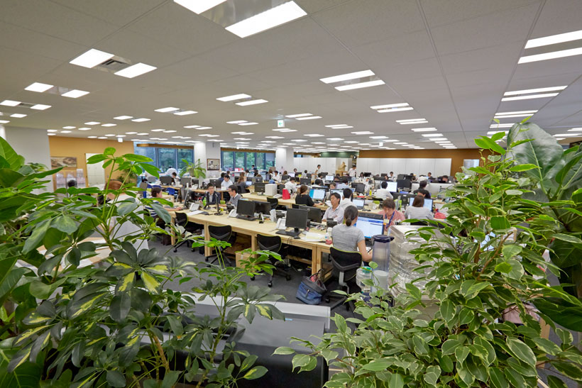 ↑オフィスに多くの観葉植物を置いているのは「自分だったらこんなオフィスで働きたい」という萩尾社長のアイデア。鮮やかな緑や季節の花を配することで、常に自然を意識させ、商品である清冽な水をイメージさせる効果もある。植物のレイアウトや季節の花を毎週変えているのは、社員が四季を感じ、植物の変化に気づく感性を持ってほしいからだとか