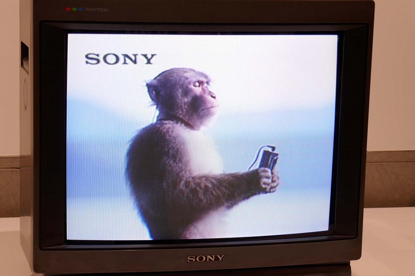 ウォークマン・MD・アイボ……ソニーの歴史的アイテムが一同に会す「It’s a Sony展」