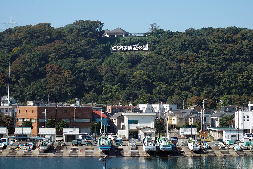 ↑久里浜港からみた「くりはま花の国」。近くにありそうですが、山の上なので、遠そうです