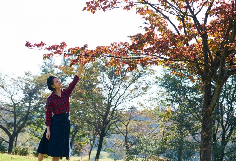 片道2時間半のバカンス! 紅葉も秋の旬グルメも楽しめる赤城山ドライブ