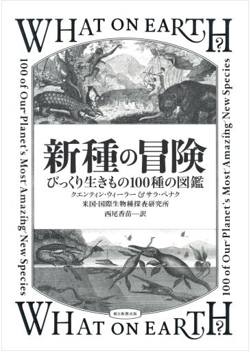 20161105_y-koba_fmfm3_02