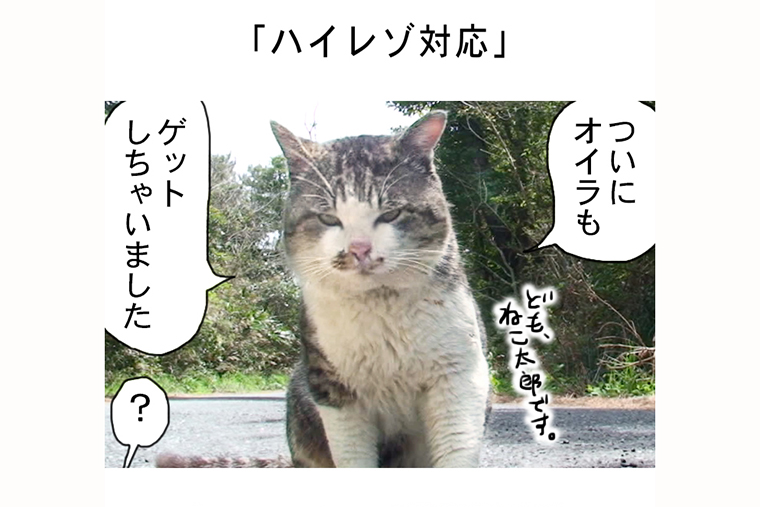 連載マンガ「田代島便り 出張版」 第20回「ハイレゾ対応」
