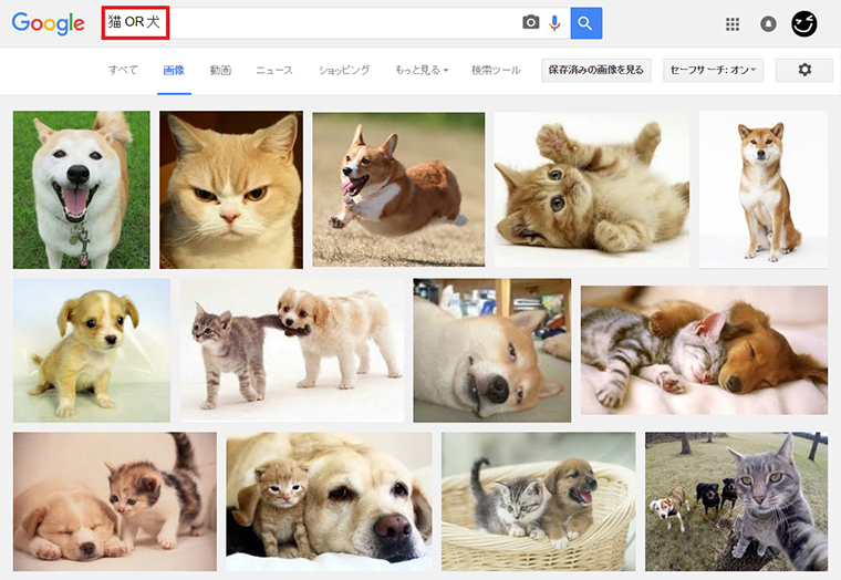 ↑「猫 OR 犬」で画像検索。キーワードのどちらかを含むページがヒット