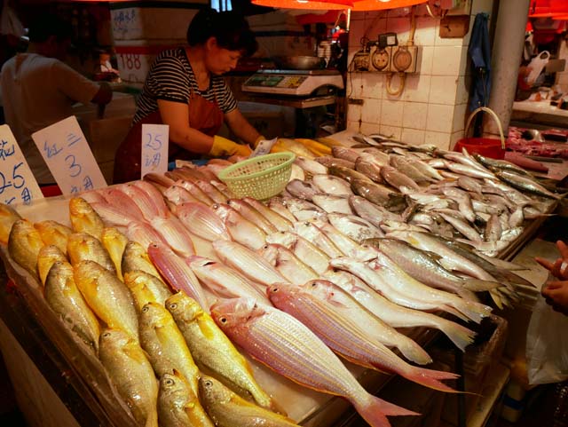 ↑魚介類などの生鮮食品を扱う公設市場「紅街市」。 周辺には昔ながらの街が広がり、ローカルフードも食べられる。市場に並べられた魚の光沢がりあるに映し出された(LUMIX G VARIO 12-60mm/F3.5-5.6使用、ISO200、1/160秒、F4.5、+0.3補正)