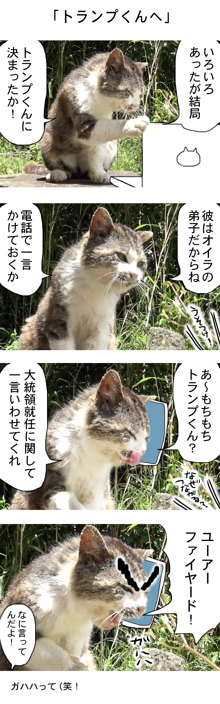 20161118-a01 (1)