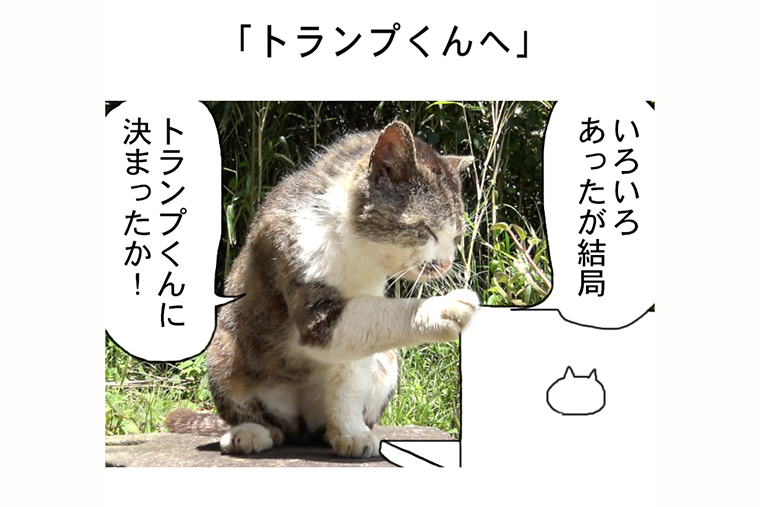 連載マンガ「田代島便り 出張版」 第21回「トランプくんへ」