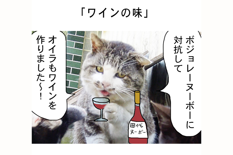 連載マンガ「田代島便り 出張版」 第22回「ワインの味」