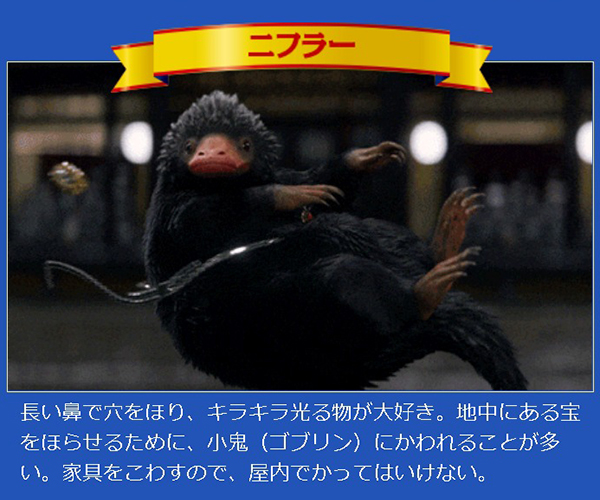 20161125-a02 (4)