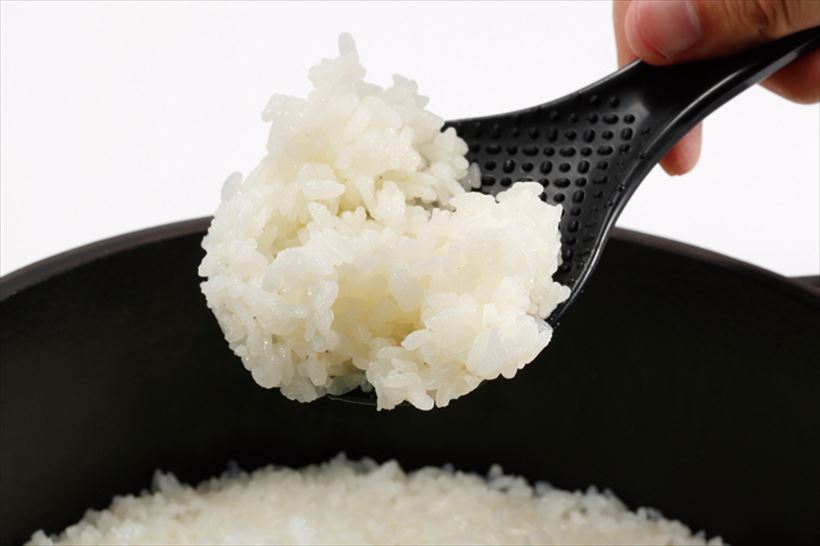 “圧力IH”か“非圧力”か? 最新高級炊飯器4モデルの美味しさを実食テスト!