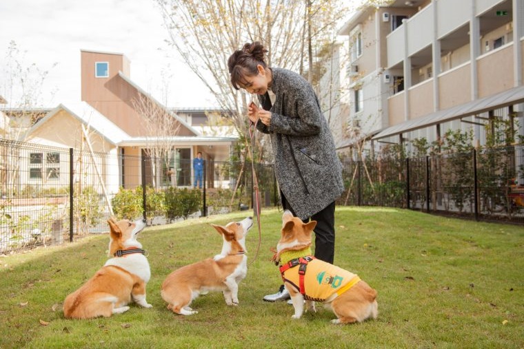 ペットも飼い主も快適! 共生・共育コミュニティ 「ロイジェントパークス レイクタウン」