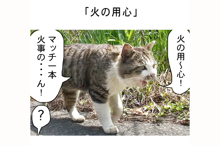 連載マンガ「田代島便り 出張版」 第23回「火の用心」