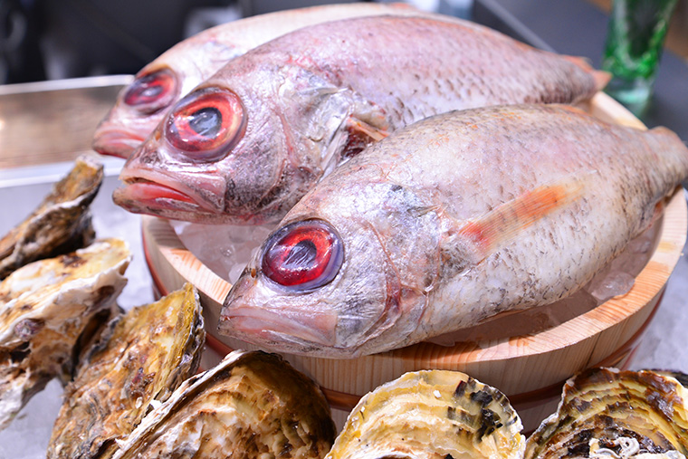 【中目黒高架下の絶品店】のどぐろと牡蠣が自慢の「ノドグロヤ カキエモン」で贅沢な飲みニケーションを!
