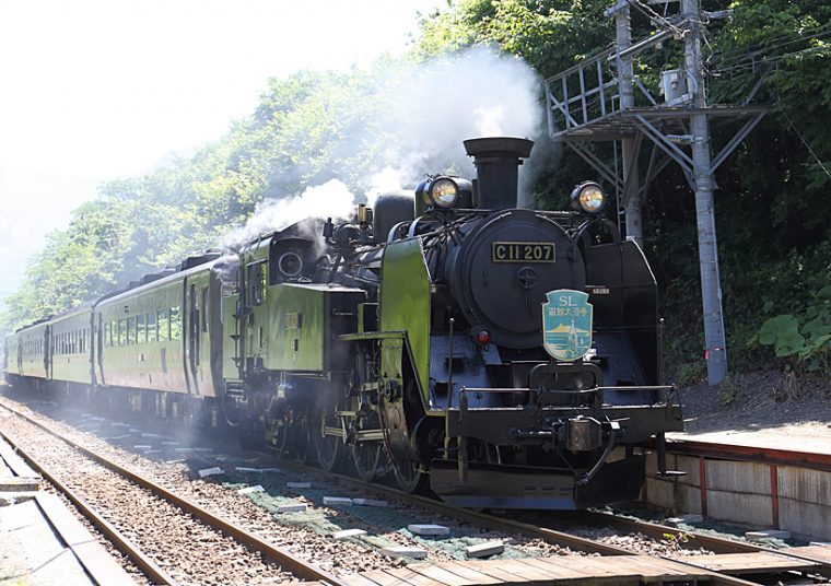 ↑SL函館大沼号として走るC11形207号機。カニ目と呼ばれる独特の風貌が特徴となっている