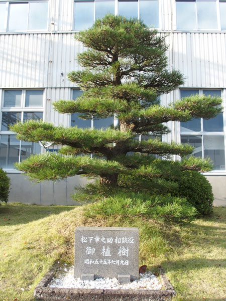 ↑幸田工場には松下幸之助氏も訪れています。こちらは訪問時に記念として植樹された松