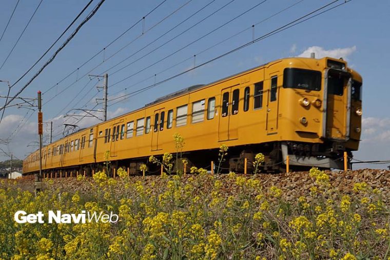 ↑JR西日本の115系は多くが健在。黄色一色は岡山電車区の115系で、瀬戸大橋線や伯備線を走る