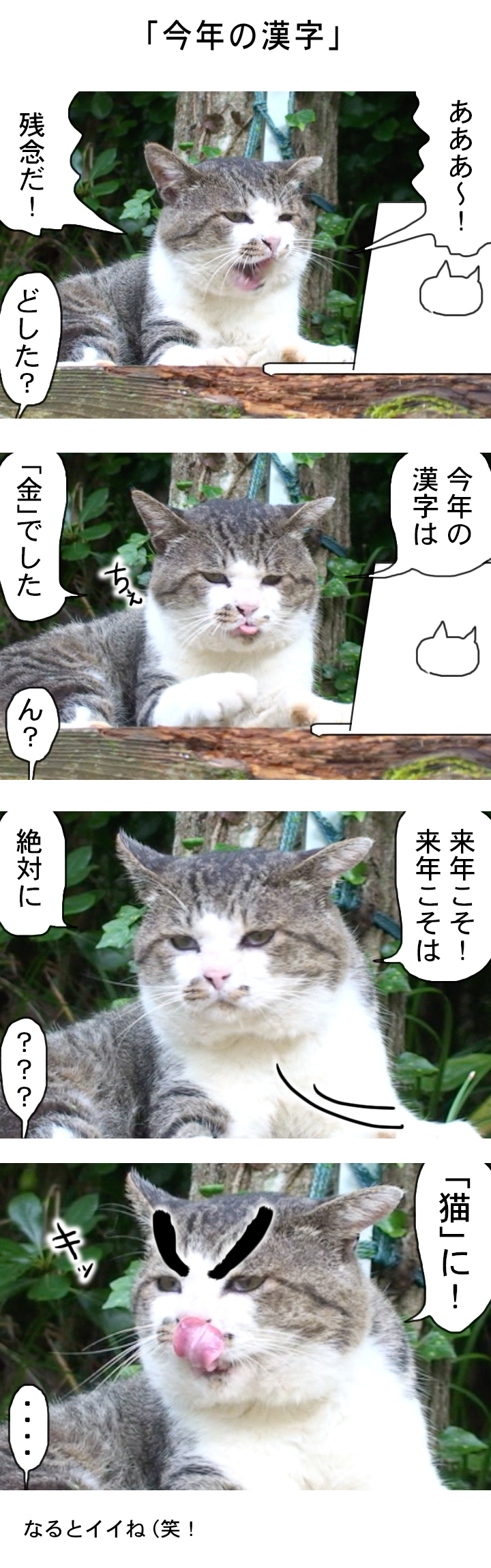 20161216-a05 (1)