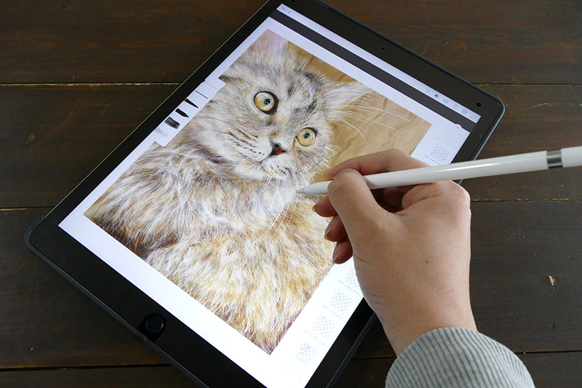 ↑iPad ProはApple Pencilを利用可能(写真は指紋防止用フィルム付き)