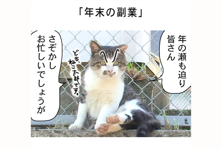 連載マンガ「田代島便り 出張版」 第26回「年末の副業」
