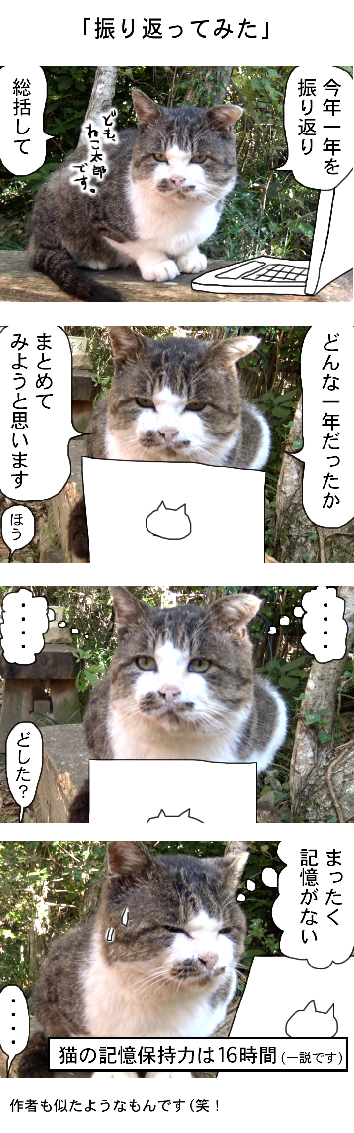 20161228-a04 (1)