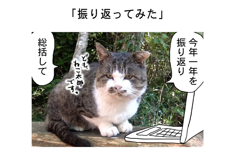 連載マンガ「田代島便り 出張版」 第27回「振り返ってみた」