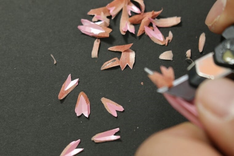 ↑鉛筆を削るだけで花びらが舞う