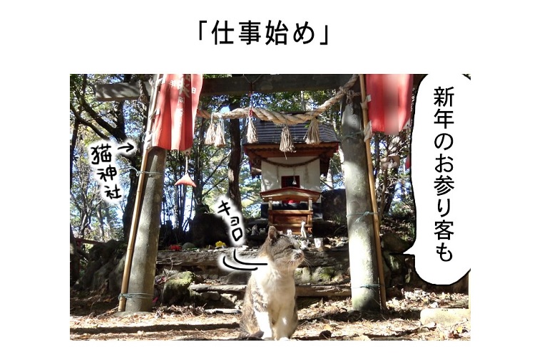 連載マンガ「田代島便り 出張版」 第28回「仕事始め」