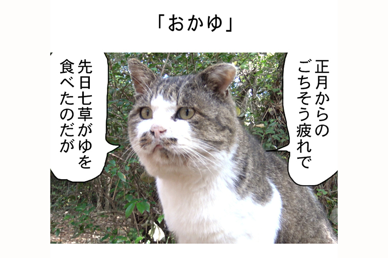 連載マンガ「田代島便り 出張版」 第29回「おかゆ」