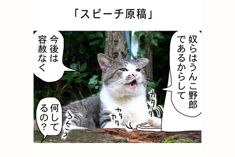 連載マンガ「田代島便り 出張版」 第30回「スピーチ原稿」