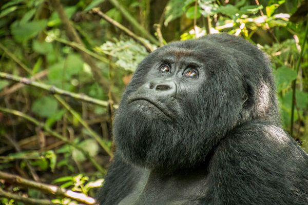 逆に自分の身が危険になることも! 味方をつくるより「敵をつくらないこと」を第一にすべき理由