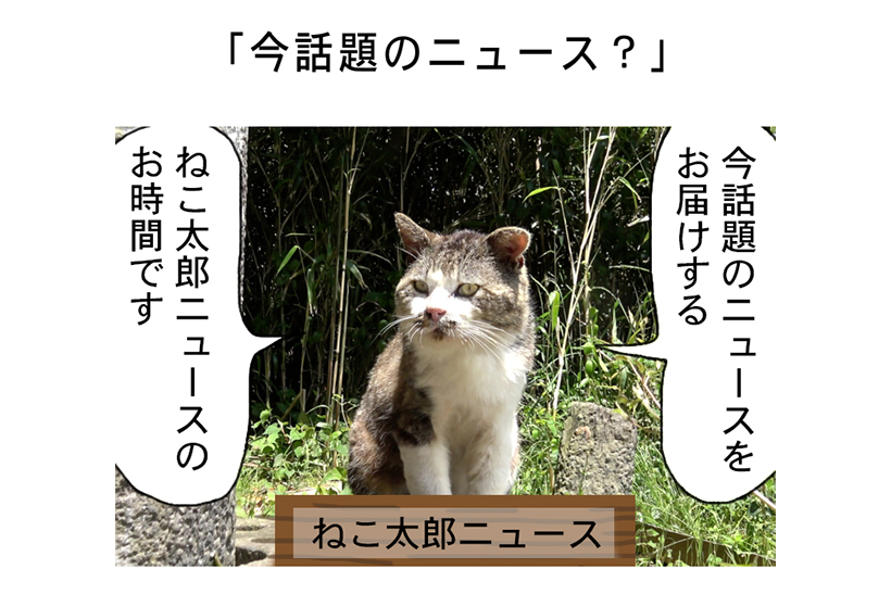 連載マンガ「田代島便り 出張版」 第33回「今話題のニュース?」
