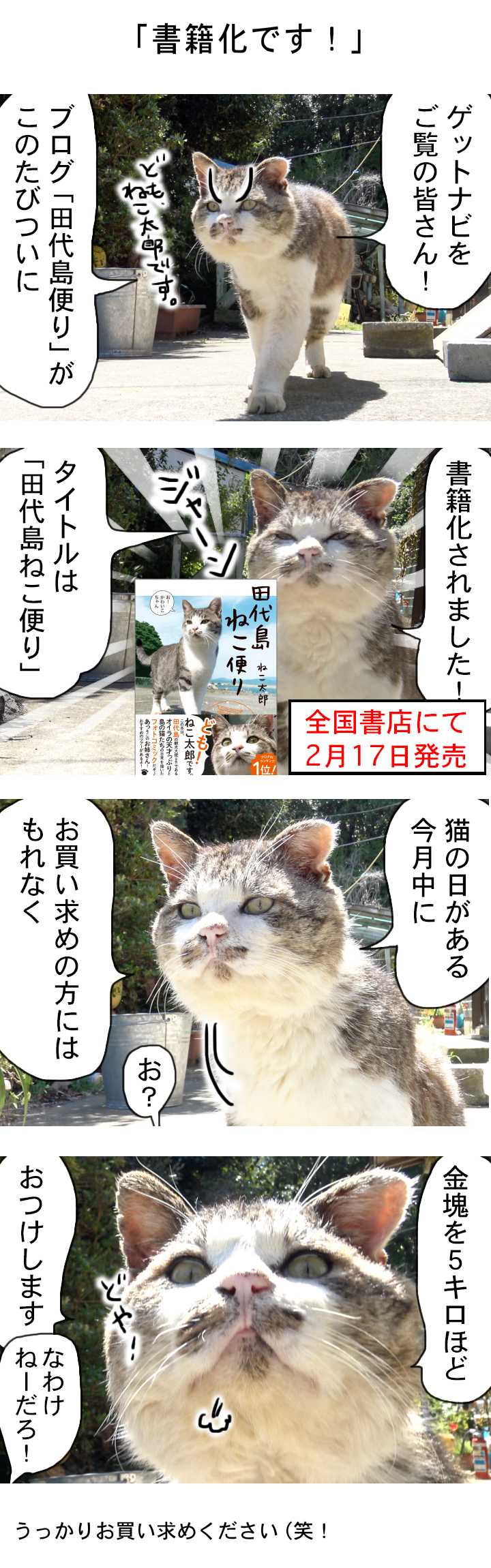 20170217-a07 (3)