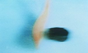 20170304_y-koba_wn4