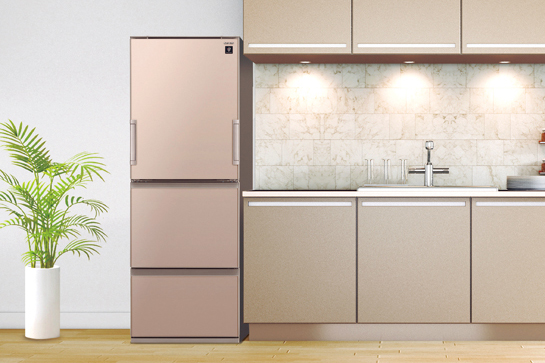 バカでかい冷蔵庫はもういらない! プロが推す100~300ℓ台の「安オシャ」冷蔵庫ベストバイ