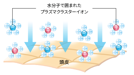 ↑水分子で囲まれたプラズマクラスターイオンが、頭皮のうるおいを保ち、皮脂バランスを整えるとのこと