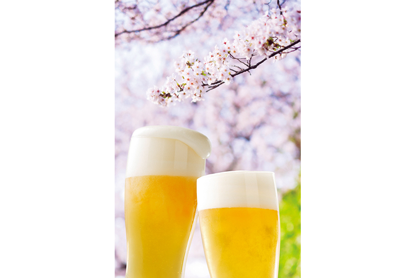食のプロが実際に飲み比べて判定! 見事な味と香りの「桜パッケージの限定ビール」6種類