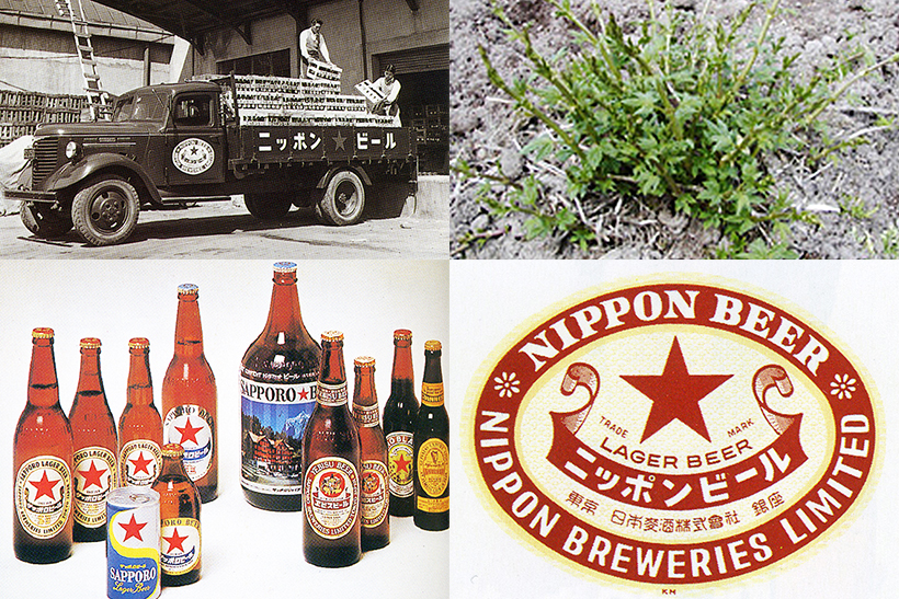 【the周年!】家庭に“生”を広めた「サッポロ生ビール黒ラベル」40年の歴史を追いかけた