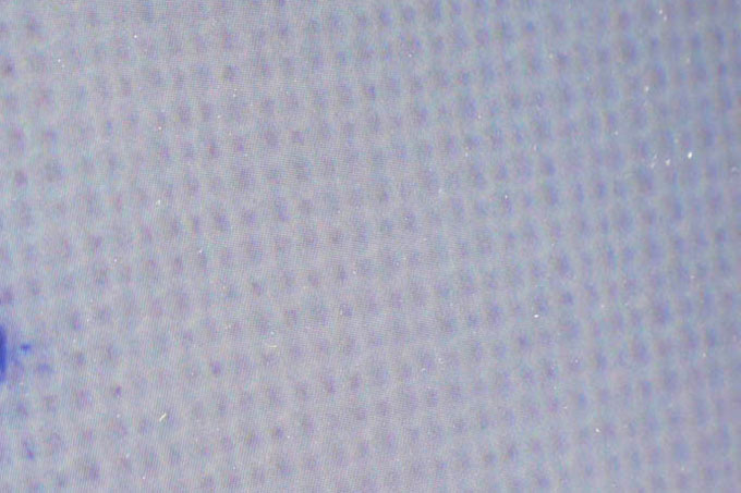 ↑こちらが実験前の布(上写真)と実験あとの布(下写真)。実験前は布の上をノソノソと歩き回っていたダニが、レイコップ1往復でいなくなりました