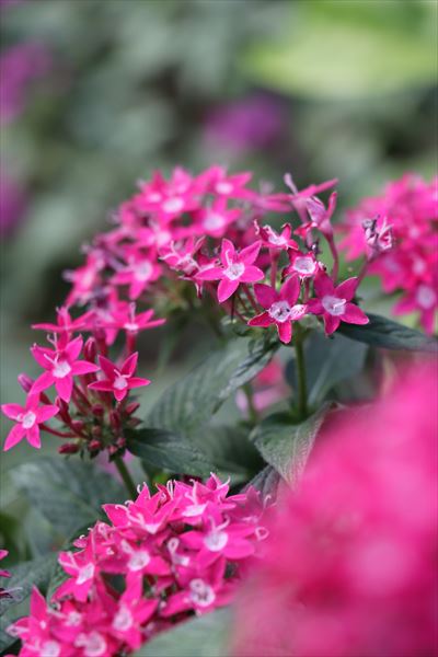 20170407_y-koba_eos7