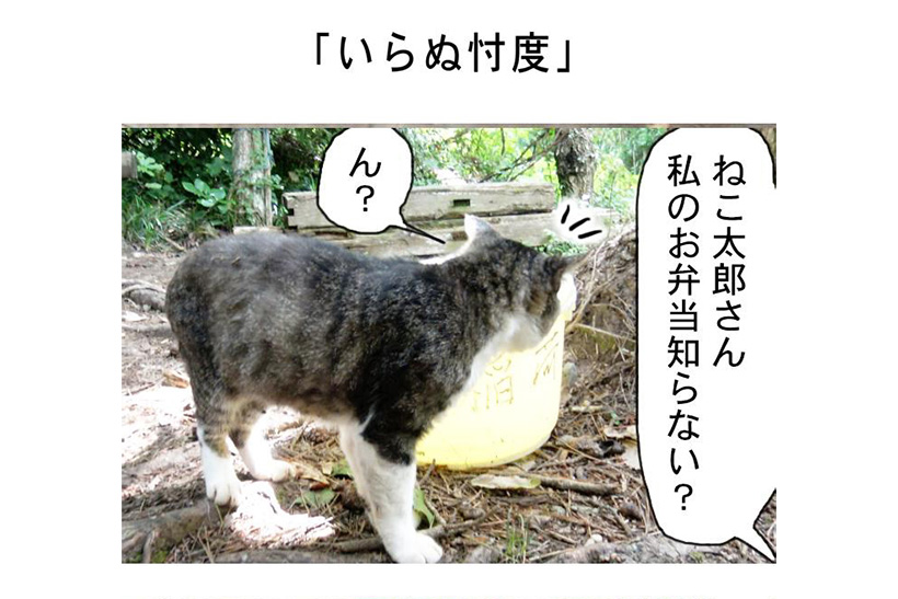 連載マンガ「田代島便り 出張版」 第40回「いらぬ忖度」