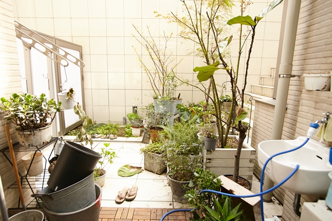 ↑光が注ぐテラスには、和洋の植物がたくさん。リビングの窓から望む景色は、まるで絵画のようでもあり、癒しを与えてくれるひとコマになっています
