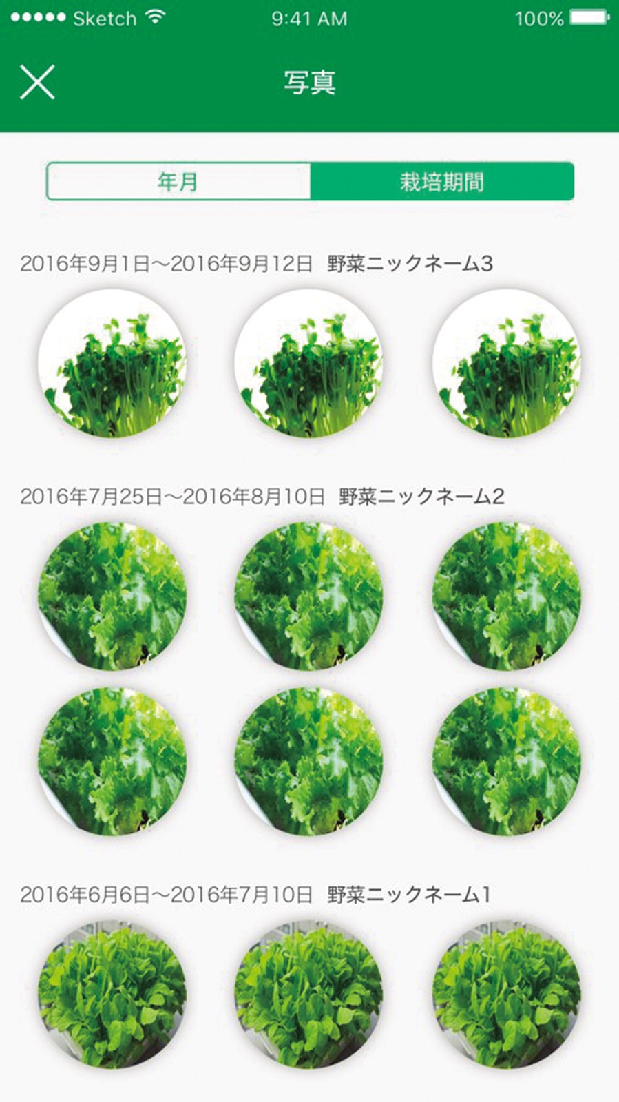 ↑種を植えて2〜3日で発芽。アプリではカメラ撮影した野菜の生長過程の一覧表示もできる