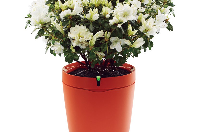 大事な植物を枯らさずに済む! 植物の「見守り」「自動で水やり」が可能な最新「IoT栽培アイテム」3選