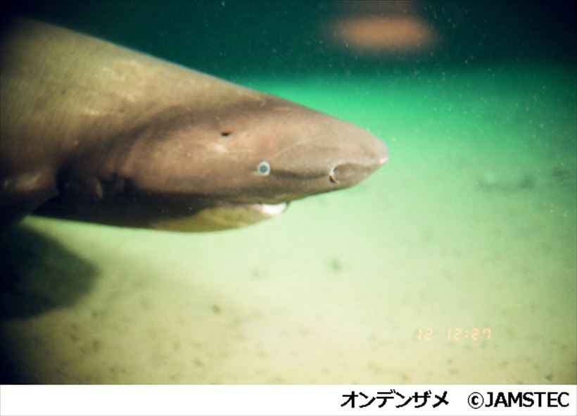20170501_y-koba3_06_R