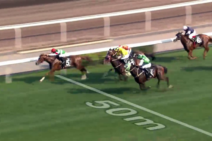 日本馬がまた海外GIで優勝! ネオリアリズムがクイーンエリザベス2世カップを制す