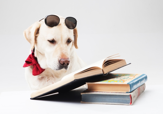 女性を惹きつけるコツは犬と沈黙に学ぶべし