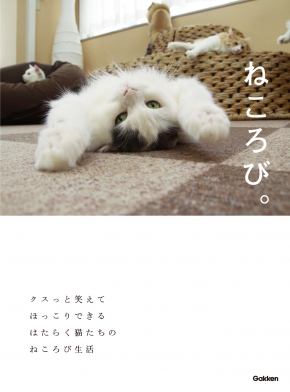 20170519_suzuki_10