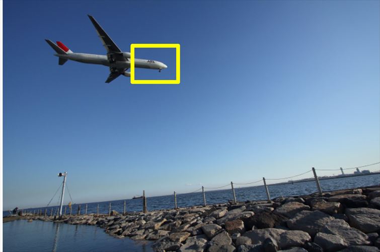 ↑全体写真