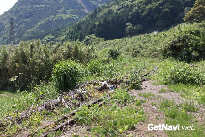 ↑震災後、棚田の中を走る線路は、いまでは見る影もない状況になっている