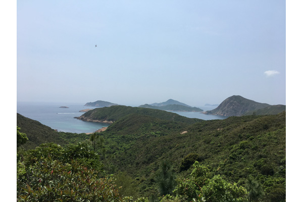 20170623_blnak4_3